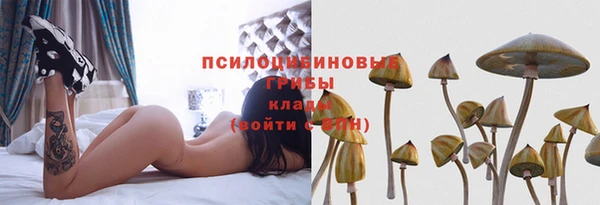тгк Арсеньев