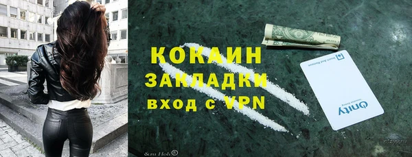 тгк Арсеньев